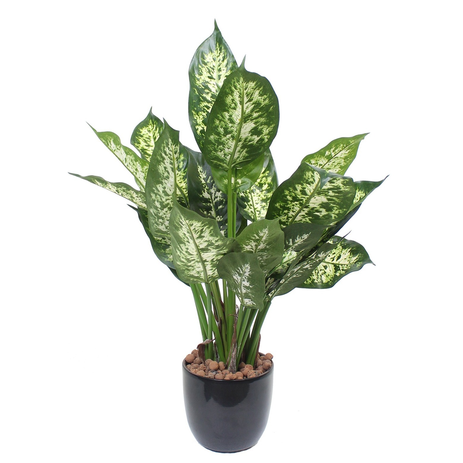Dieffenbachia compacta artificiel L. 52 cm