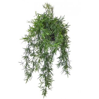Chutes d'asparagus artificielle en pot H. 55 cm